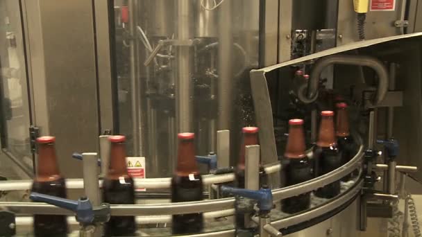 Bottles zip along a conveyor belt — Stock Video