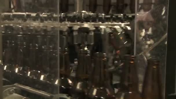 Botellas con cremallera a lo largo de una cinta transportadora — Vídeos de Stock
