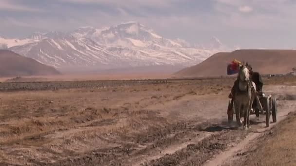 Hombre tibetano cabalgando en carruaje — Vídeos de Stock