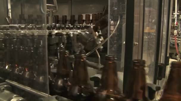 Bottles zip along a conveyor belt — Stock Video