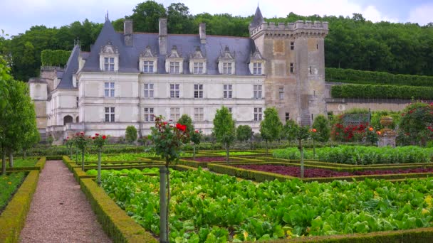 Kastelen en tuinen van Villandry — Stockvideo