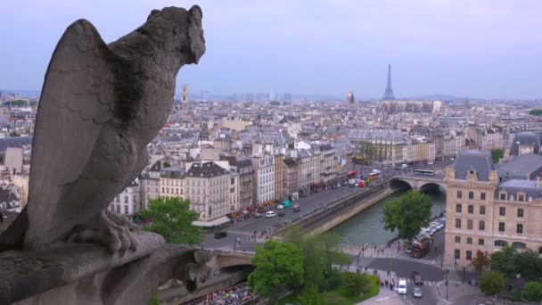 Wasserspeier wacht über Paris — Stockvideo