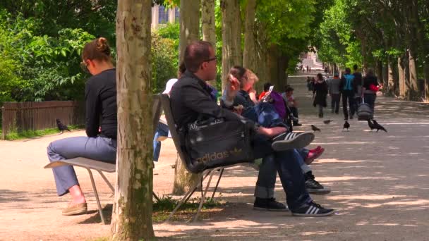 Люди відпочивають у парку — стокове відео