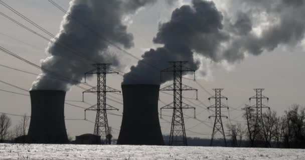 El humo sube de la planta — Vídeos de Stock