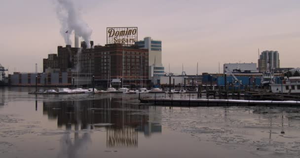 Domino sockerfabriken nära Baltimore — Stockvideo