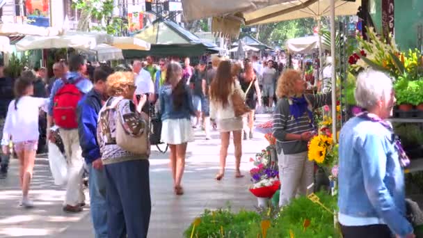 Menigte wandeling in Barcelona — Stockvideo