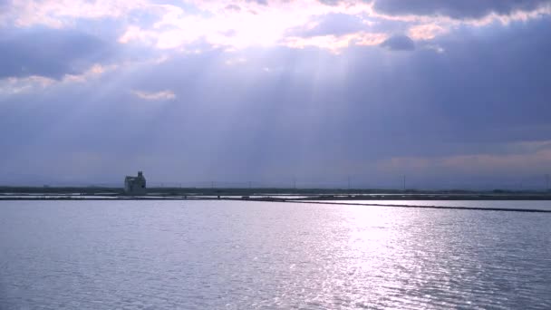 Ljusa reflekterar av risfält — Stockvideo