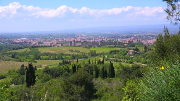 Красивий замок Форт в Carcassonne — стокове відео