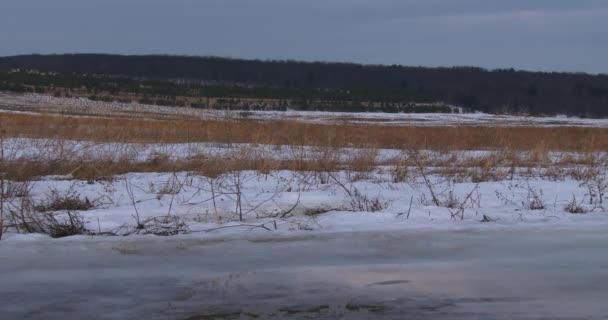 Політ 93 Національний меморіал — стокове відео