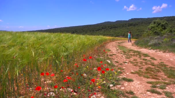 Mädchen geht in der Nähe eines Feldes mit Wildblumen — Stockvideo