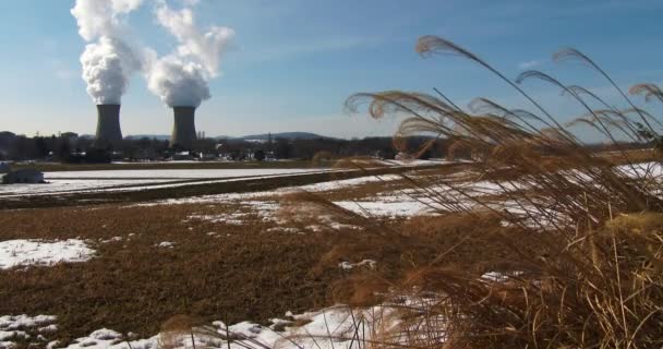 El humo sube de la planta — Vídeos de Stock