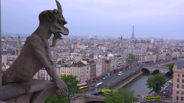 Wasserspeier wacht über Paris — Stockvideo