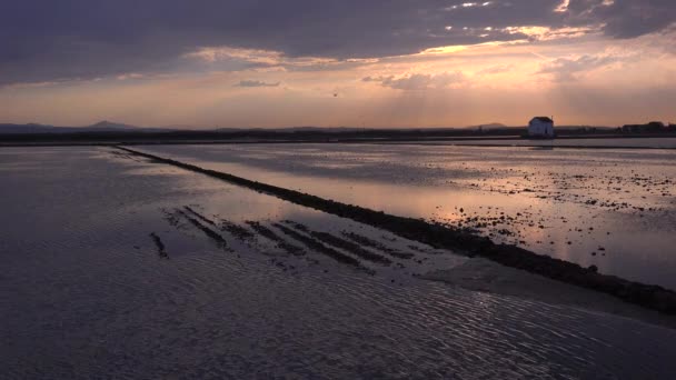 Luz refleja de los campos de arroz — Vídeos de Stock