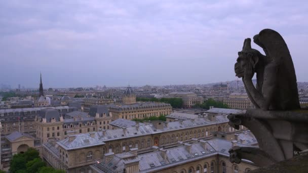 Gargoyle watch over Paris — Stock Video