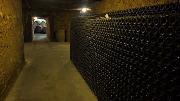 A dimly lit wine cellar. — Stock Video