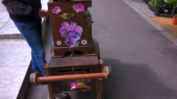 Player entertains passersby — Stock Video