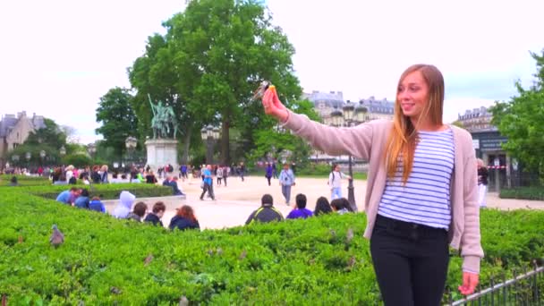 Les oiseaux se nourrissent d'une main de jeune fille — Video