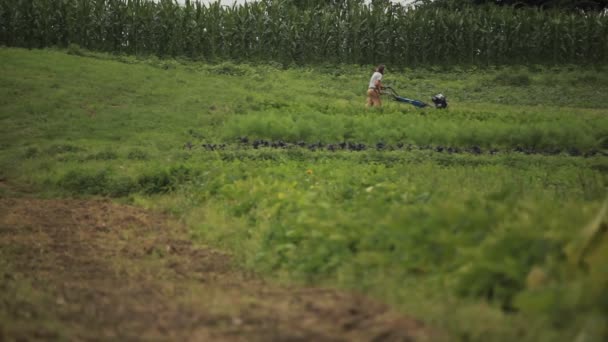Bir adam bir çiftlik ekipman parçası iter — Stok video