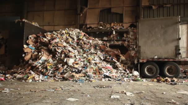 A skip loader moves aluminum cans — Stock Video