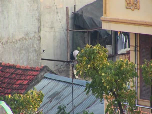 Ein Mann übt auf seinem Dach — Stockvideo