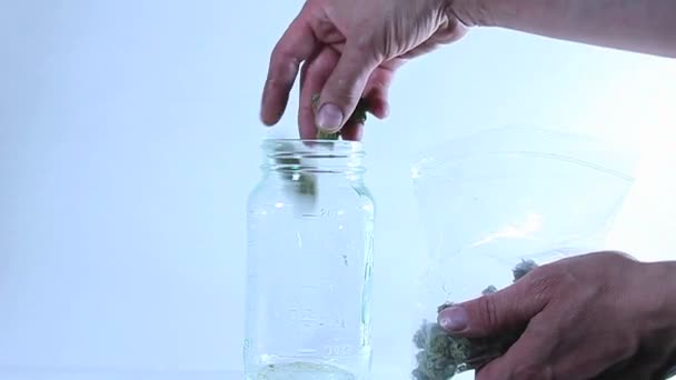 Las manos transfieren marihuana al frasco — Vídeos de Stock