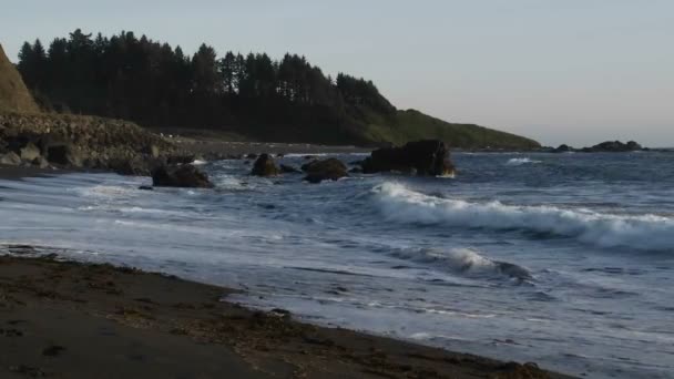Olas a lo largo de la costa de Oregon — Vídeo de stock