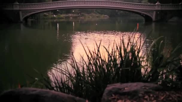 Λίμνη και γέφυρα στο Σέντραλ Παρκ πόλη της Νέας Υόρκης — Αρχείο Βίντεο