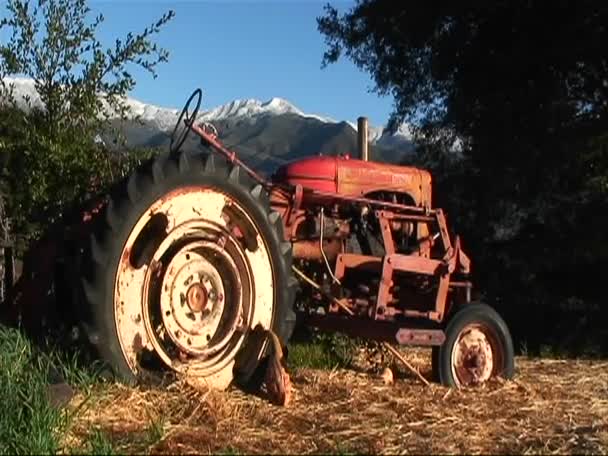 A traktor ül egy erdős területen — Stock videók