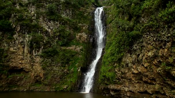 Una cascada en un entorno selvático — Vídeos de Stock