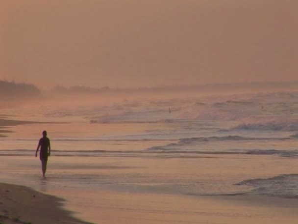 Un hombre trota a lo largo de una playa en silueta — Vídeos de Stock