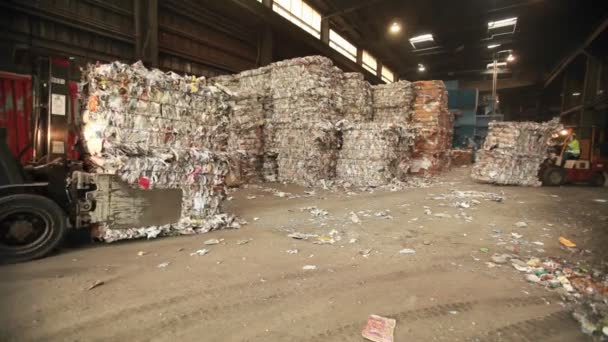 Skip laders verplaatsen pallets — Stockvideo