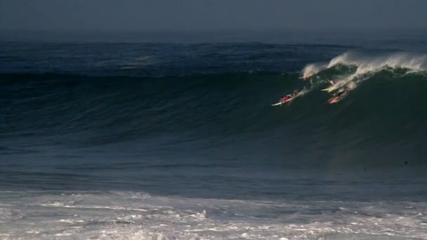 Surfistas múltiples montan olas — Vídeo de stock