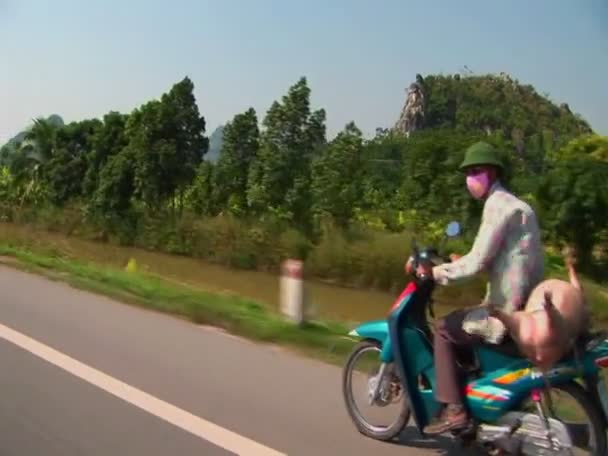 Agricoltore prende il suo maiale al mercato sulla moto — Video Stock