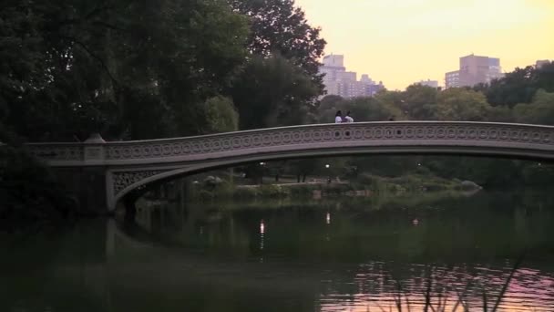 Lago e ponte em Central Park — Vídeo de Stock