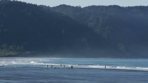 Les vagues de l'océan roulent sur une plage — Video