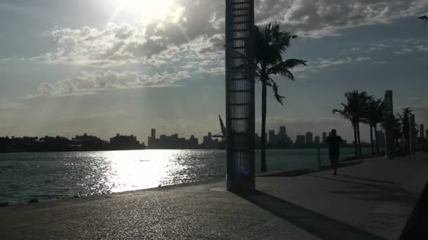 Un hombre corre por el horizonte de Mami — Vídeo de stock