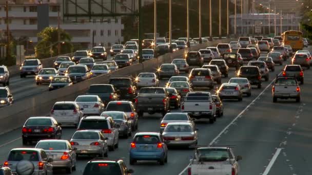 Traffic crowds Honolulu's freeways — Stock Video