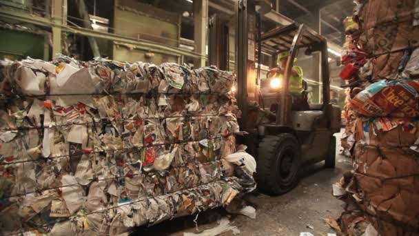 Aluminium blikjes worden gerecycleerd — Stockvideo