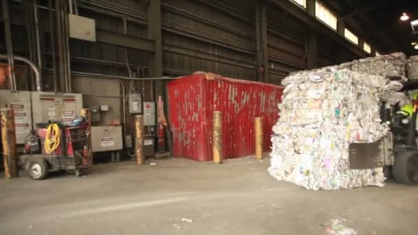 Las latas de aluminio se reciclan — Vídeo de stock