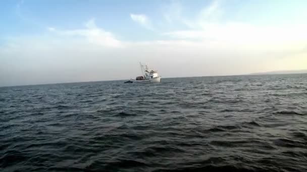 一只小船在公开水域懈怠 — 图库视频影像