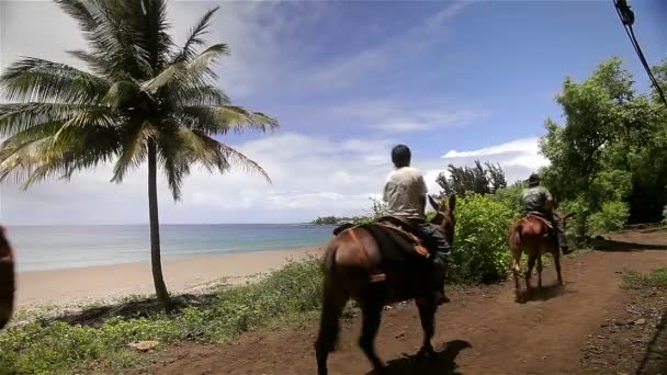 Lidé jezdí na koních — Stock video