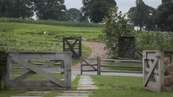 Een groep kinderen op een pad achter een hek — Stockvideo