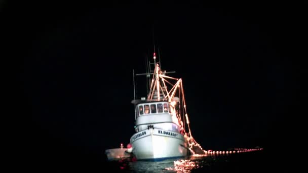 Um barco de pesca iluminado na água — Vídeo de Stock