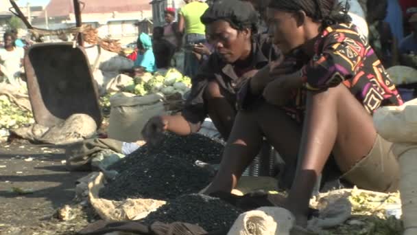 VN-vredeshandhaver troepen bewaken het presidentiële paleis in Haïti — Stockvideo