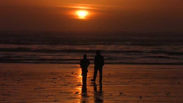 Uma família fica na praia silhueta — Vídeo de Stock