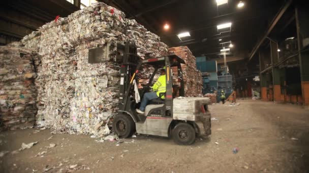 Loader kihagyása mozog raklapok — Stock videók