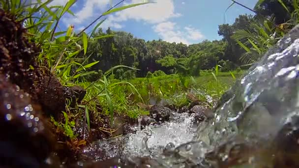 纯新鲜干净的水 — 图库视频影像