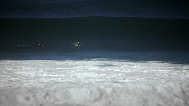 大きな波のサーフィン — ストック動画