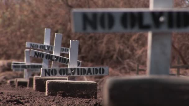 Groby oznaczone drogowskazami — Wideo stockowe