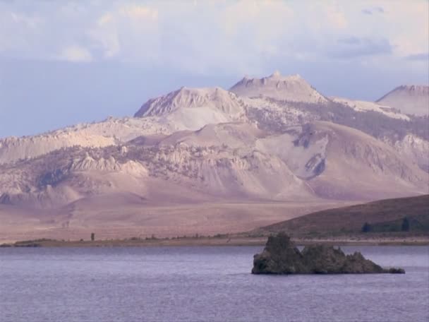 Gli uccelli volano sul lago Mono — Video Stock